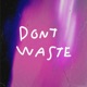 Dont Waste Single