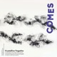 Crystalline Tragedies The Procession Distant Motionless Shores
