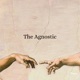 The Agnostic Single