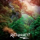 Reconnect Single
