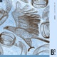 Love Bird Single