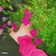 DON T TRIP feat Scott Martin Single