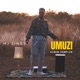 Umuzi Album Sampler EP