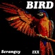 Bird feat Scrangzy Single