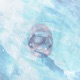 Ledový rty feat Fill Single