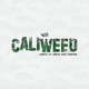 CaliWeed feat Thiago Dlb Deuxer la s Esteban Rojas Single
