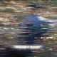 Money Rain Single