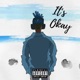 It s Okay Single
