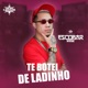 Te Botei de Ladinho Single