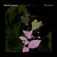 Belladonna Nocturne