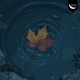 Leaf Single