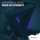 Voice of Eternity Single