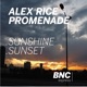 Sunset Single