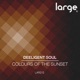 Colours of the Sunset Single