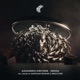 Nala Gnirut Space Food Remix Single