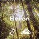 Elation Single