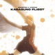 Karasuno fliegt Single