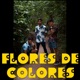 Flores de Colores Original Single