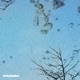 Tree Topper feat U WARRIOR Single