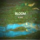 Bloom Single
