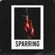Sparring Single