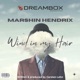 Wind in my hair feat Marshin Hendrix Single