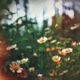 Gratitude EP