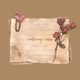 watering roses Single