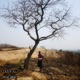 Old Dogs Heart EP