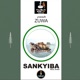 SANKYIBA Real Song Single