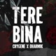 Tere Bina Single