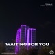 Waiting for You Single