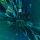 Energy Centers Single