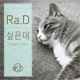 싶은데 Good Girl Single