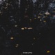 Lost notes EP