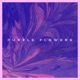 Purple Flowers Single
