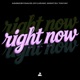 Right Now Na Na Na Single
