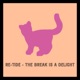The Break Is a Delight Single