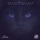 Balanced Motions EP