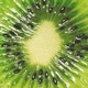 KIWI Single