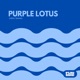 Purple Lotus Single
