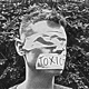 Toxicity Single