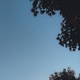 Beginning Single