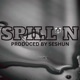 SPILL N feat Seshun Single