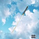 Rock Lee Single