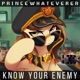 Know Your Enemy Single