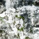 Gravitas Motus EP