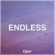 Endless Single
