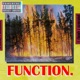 Function Single