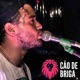 Cão de Briga Single